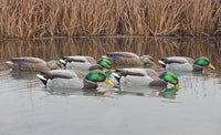 Avian-X Topflight Back Water Mallard Decoys